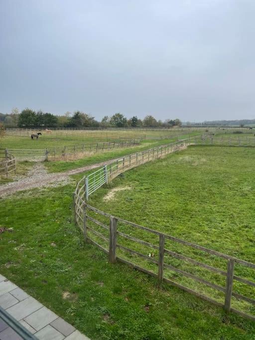Falabella Suite With Amazing Views Of Stud Farm. Driffield Exterior photo